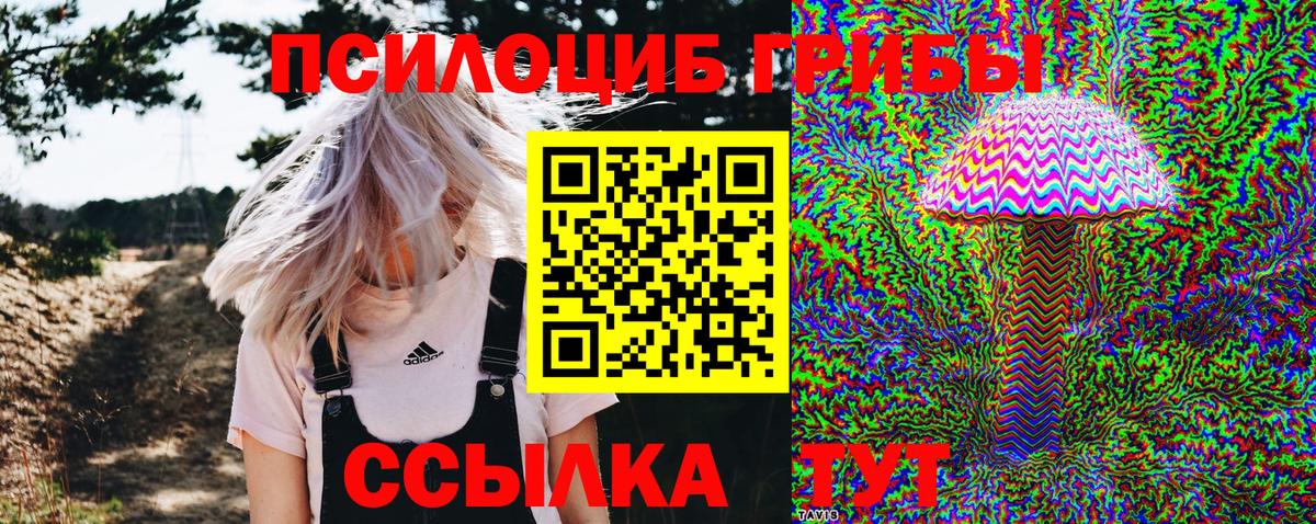 Галлюциногенные грибы ЛСД  Вход с VPN  Новокузнецк 